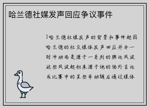 哈兰德社媒发声回应争议事件
